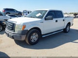Ford F-150 Xl 1FTRW12W09FA12947 снимка