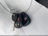 Miniaturka zdjęcia 11