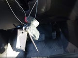 Miniaturka zdjęcia 11