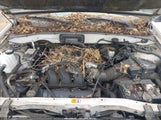 Ford Escape Xlt 1FMCU04191KA47176 снимка