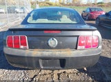 Ford Mustang V6 1ZVHT80N595111130 снимка