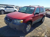 Ford Escape Xlt/Xlt Sport 1FMYU93166KA98394 снимка