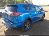 Toyota Rav4 Xle 2T3RFREV6JW804363 снимка