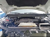 Ford F-150 Tremor 1FTEW1E86PFD11206 снимка