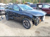 Hyundai Tucson Hybrid Sel Convenience KM8JCDD17SU379527 fotografie