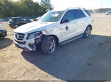 Mercedes-Benz Gle 350 4Matic 4JGDA5HBXHA983482 fotografie