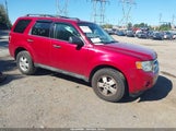 Ford Escape Xlt 1FMCU9DG0AKD37007 снимка