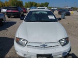Chevrolet Cavalier 1G1JC52F657109824 снимка