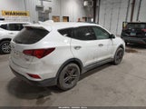 Hyundai Santa Fe Sport 2.4L 5NMZTDLB7HH029638 fotografie