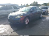 Toyota Camry Le 4T1BE46K09U891127 снимка