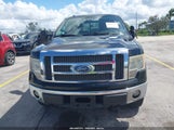Ford F-150 Fx4/King Ranch/Lariat/Platinum/Xl/Xlt 1FTPW14V49FB48770 снимка