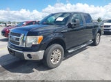 Ford F-150 Fx4/King Ranch/Lariat/Platinum/Xl/Xlt 1FTPW14V49FB48770 снимка