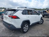 Toyota Rav4 Xle JTMW1RFV0KD034045 снимка