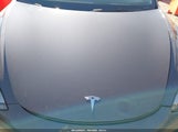 Tesla Model 3 Rear-Wheel Drive 5YJ3E1EA3PF707675 снимка