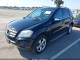 Mercedes-Benz Ml 350 4Matic 4JGBB8GB5AA608502 photo