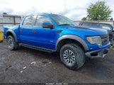 Ford F-150 Svt Raptor 1FTFW1R64DFB62559 photo