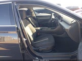 Miniaturka zdjęcia 5