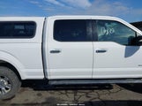 Ford F-150 Xlt 1FTFW1EG4HKE22258 снимка