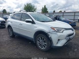 Toyota Rav4 Hybrid Limited JTMDJREV6GD044482 fotografie