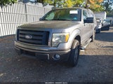 Ford F-150 Stx/Xl 1FTEX1EW5AFC41880 fotografie