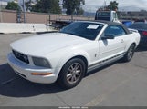 Ford Mustang V6 1ZVFT84N165217670 снимка