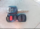 Miniaturka zdjęcia 11