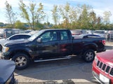 Ford F-150 Stx/Xl/Xlt 1FTEX1E88AFD63909 photo