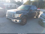 Ford F-150 Fx2 Sport/Harley-Davidson/King Ranch/Lariat/Platinum/Xl/Xlt 1FTFW1CV3AFA50329 fotografie