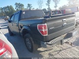 Ford F-150 Fx2 Sport/Harley-Davidson/King Ranch/Lariat/Platinum/Xl/Xlt 1FTFW1CV3AFA50329 photo