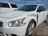Nissan Maxima 3.5 S 1N4AA5AP1CC861268 fotografie