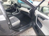 Toyota Rav4 Xle JTMP1RFV3KD504623 fotografie