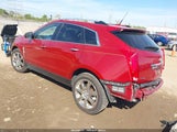 Cadillac Srx Premium Collection 3GYFNCEY7BS507270 снимка