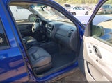 Ford Escape Xlt 1FMCU93105KA09251 снимка