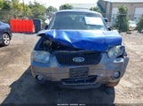 Ford Escape Xlt 1FMCU93105KA09251 снимка