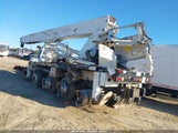Miniaturka zdjęcia 3