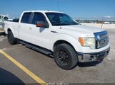 Ford F-150 Fx4/Lariat/Xl/Xlt 1FTFW1EV8AFA48010 fotografie