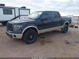 Ford F-150 Fx4/Harley-Davidson/King Ranch/Lariat/Platinum/Xl/Xlt 1FTFW1EV9AKB32358 fotografie