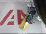 Miniaturka zdjęcia 11