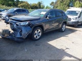 Toyota Rav4 Xle JTMP1RFV1KD513305 снимка