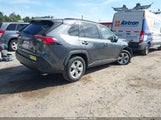 Toyota Rav4 Xle JTMP1RFV1KD513305 снимка