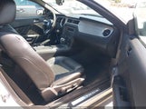 Ford Mustang V6/V6 Premium 1ZVBP8EN0A5166320 fotografie
