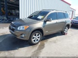 Toyota Rav4 Limited JTMDK4DV6AD017419 снимка