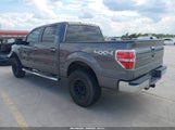 Ford F-150 Xlt 1FTFW1EF9DKE28753 снимка