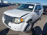 Ford Escape Xlt 1FMCU03188KA52509 снимка