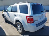 Ford Escape Xlt 1FMCU03188KA52509 снимка