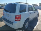 Ford Escape Xlt 1FMCU03188KA52509 снимка