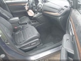 Miniaturka zdjęcia 5