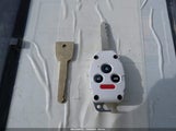 Miniaturka zdjęcia 11