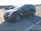Cadillac Srx Premium Collection 3GYFNJE31DS563457 photo