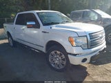 Ford F-150 Fx4/Harley-Davidson/King Ranch/Lariat/Platinum/Xl/Xlt 1FTFW1EVXAFB82047 photo